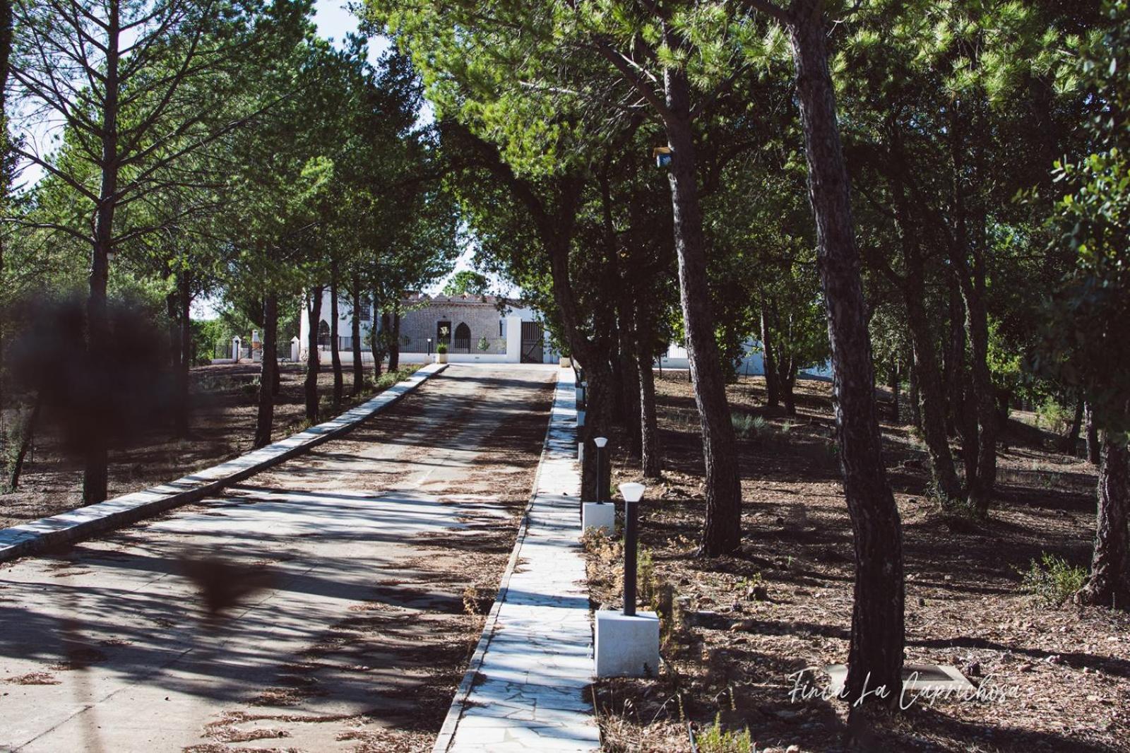 Finca La Caprichosa Cortelazor Esterno foto